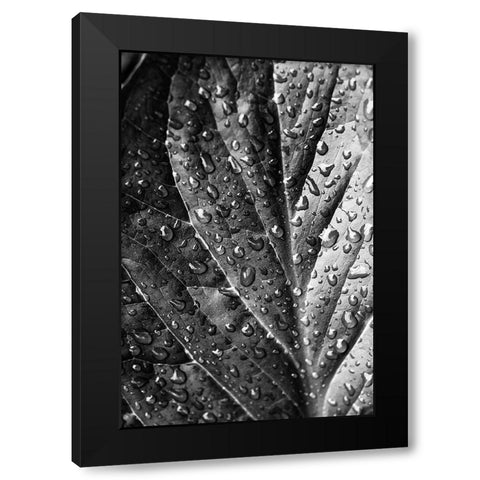 Such  a Morning Black Modern Wood Framed Art Print by Manelis, Jessica