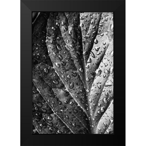 Such  a Morning Black Modern Wood Framed Art Print by Manelis, Jessica