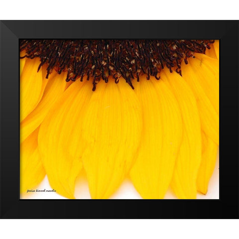 Sunflower  Closeup Black Modern Wood Framed Art Print by Manelis, Jessica