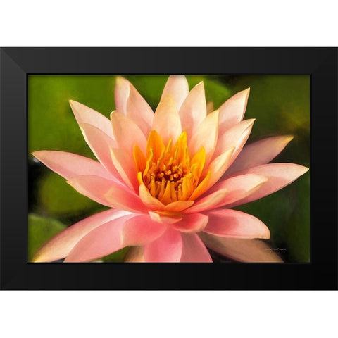 Beauty  of the World Black Modern Wood Framed Art Print by Manelis, Jessica