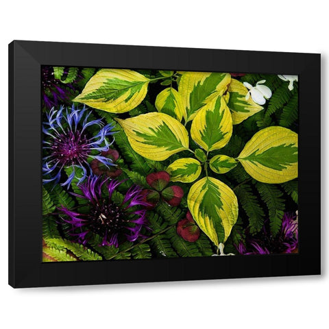 Welcome  to the Jungle Black Modern Wood Framed Art Print with Double Matting by Manelis, Jessica