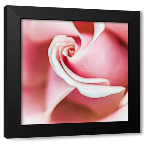 Wholly  Joyous Black Modern Wood Framed Art Print by Manelis, Jessica