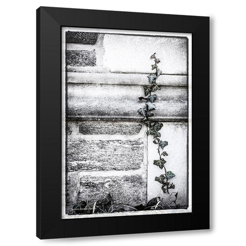 Ivy  League Black Modern Wood Framed Art Print with Double Matting by Manelis, Jessica