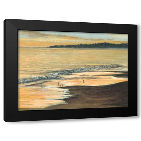 Coastline Black Modern Wood Framed Art Print with Double Matting by Mielko, Tom