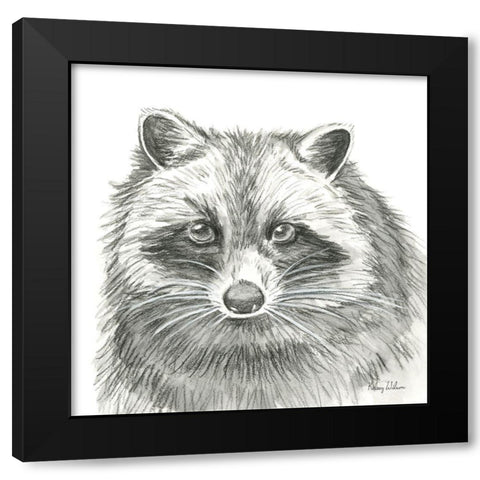 Watercolor Pencil Forest VI-Raccoon Black Modern Wood Framed Art Print by Wilson, Kelsey