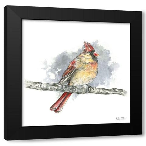 Birds And Branches II-Female Cardinal Black Modern Wood Framed Art Print by Wilson, Kelsey