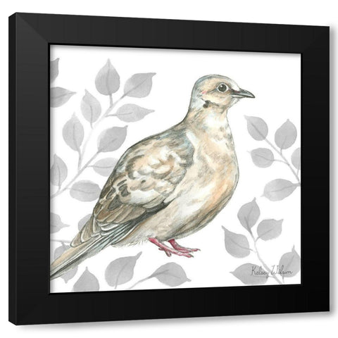 Backyard Birds V-Mourning Dove Black Modern Wood Framed Art Print by Wilson, Kelsey