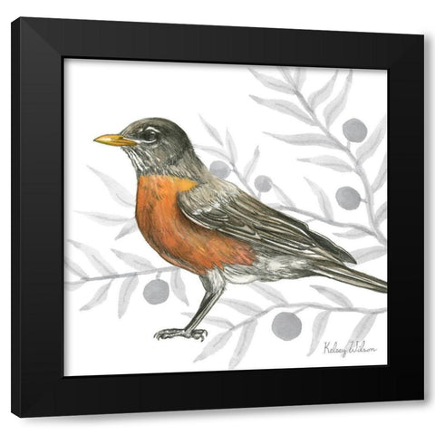 Backyard Birds VI-Robin Black Modern Wood Framed Art Print by Wilson, Kelsey