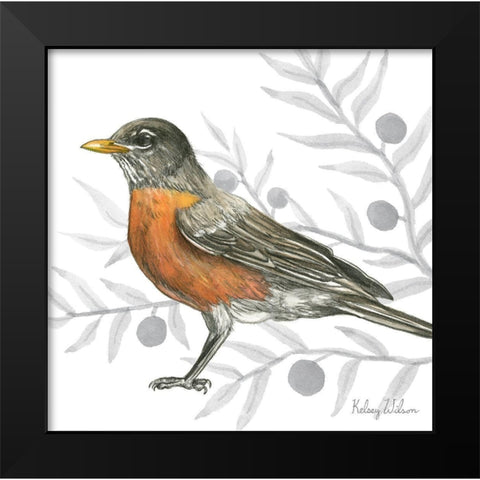 Backyard Birds VI-Robin Black Modern Wood Framed Art Print by Wilson, Kelsey