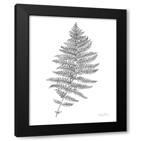 Neutral Fern II Black Modern Wood Framed Art Print with Double Matting by Wilson, Kelsey
