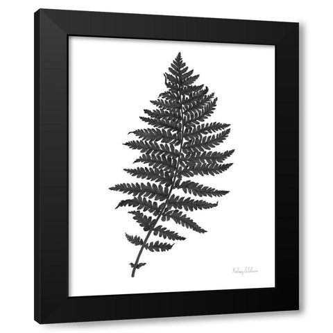 Neutral Fern black II Black Modern Wood Framed Art Print by Wilson, Kelsey