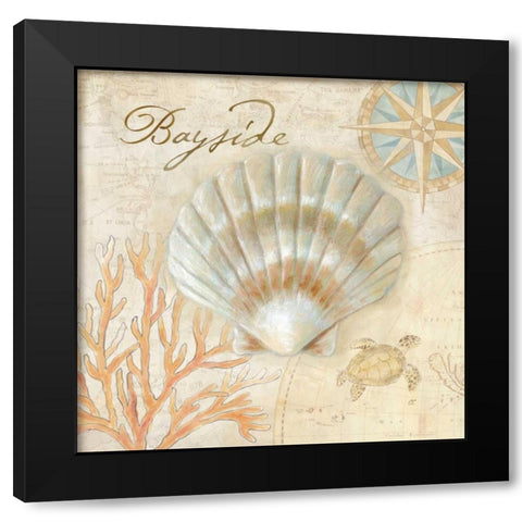 Nautical Shells II Black Modern Wood Framed Art Print with Double Matting by Coulter, Cynthia