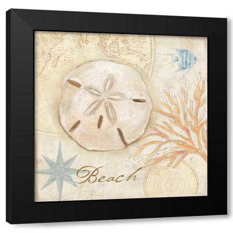 Nautical Shells IV Black Modern Wood Framed Art Print with Double Matting by Coulter, Cynthia