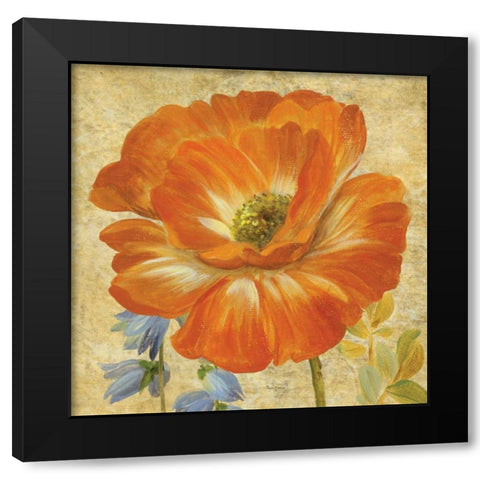 Primavera II Black Modern Wood Framed Art Print by Gladding, Pamela