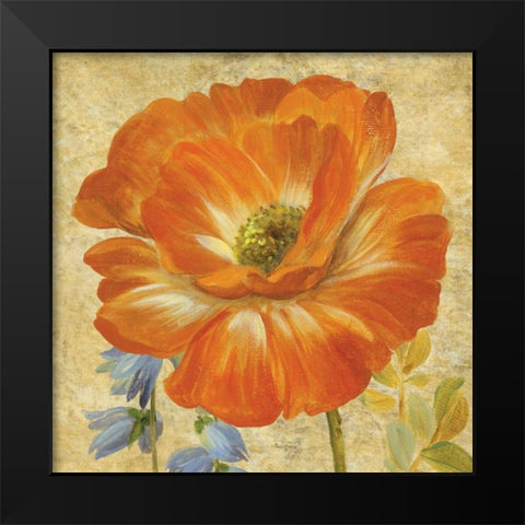 Primavera II Black Modern Wood Framed Art Print by Gladding, Pamela