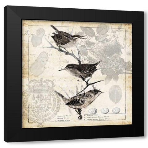 Botanical Birds Black Cream I Black Modern Wood Framed Art Print with Double Matting by Tre Sorelle Studios