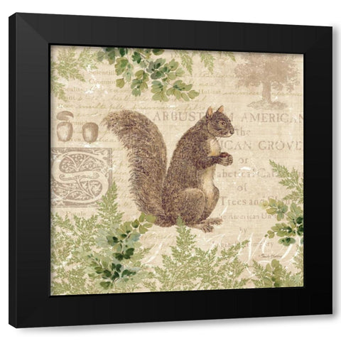 Woodland Trail III - squirrel  Black Modern Wood Framed Art Print by Gladding, Pamela