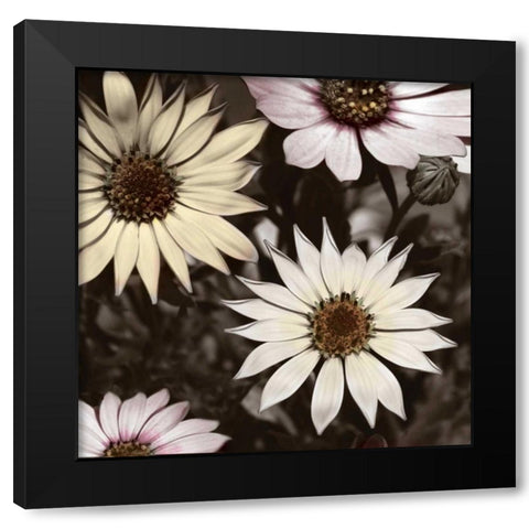 Hint of Spring I Black Modern Wood Framed Art Print by Romita, Denise