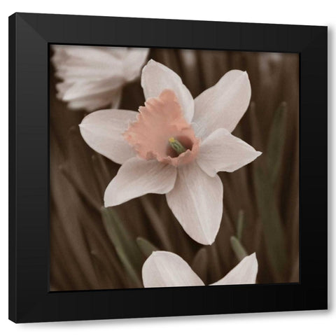 Hint of Spring II Black Modern Wood Framed Art Print with Double Matting by Romita, Denise