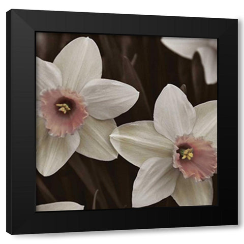 Hint of Spring III Black Modern Wood Framed Art Print by Romita, Denise