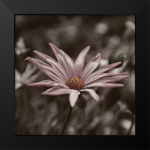 Hint of Spring IV Black Modern Wood Framed Art Print by Romita, Denise