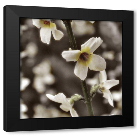 Hint of Spring VI Black Modern Wood Framed Art Print by Romita, Denise