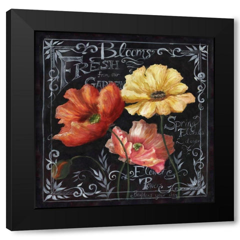 Flowers in Bloom Chalkboard II  Black Modern Wood Framed Art Print with Double Matting by Tre Sorelle Studios