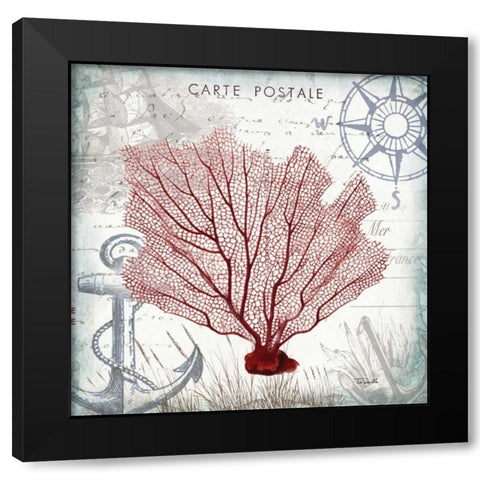 Coastal Sea Life I  Black Modern Wood Framed Art Print with Double Matting by Tre Sorelle Studios