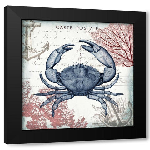 Coastal Sea Life II  Black Modern Wood Framed Art Print with Double Matting by Tre Sorelle Studios