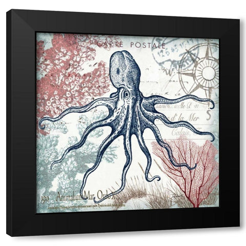 Coastal Sea Life V  Black Modern Wood Framed Art Print with Double Matting by Tre Sorelle Studios