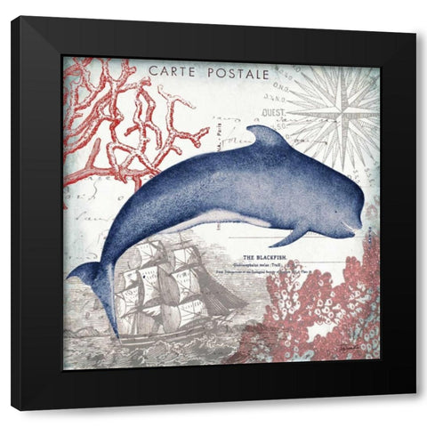 Coastal Sea Life VI  Black Modern Wood Framed Art Print with Double Matting by Tre Sorelle Studios