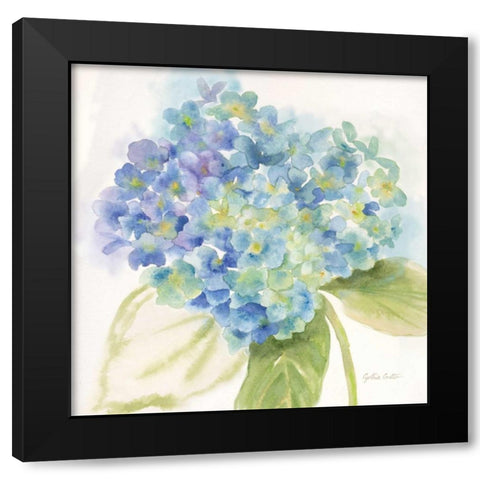 Painted Hydrangeas II Black Modern Wood Framed Art Print with Double Matting by Coulter, Cynthia