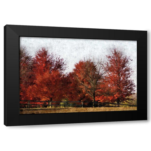 Fall Reds Black Modern Wood Framed Art Print with Double Matting by Romita, Denise