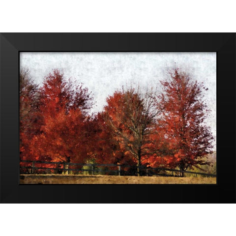 Fall Reds Black Modern Wood Framed Art Print by Romita, Denise