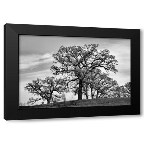 Parkside Black Modern Wood Framed Art Print by Romita, Denise