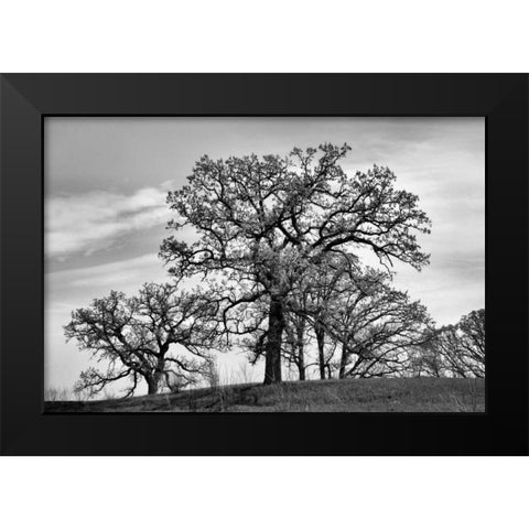 Parkside Black Modern Wood Framed Art Print by Romita, Denise