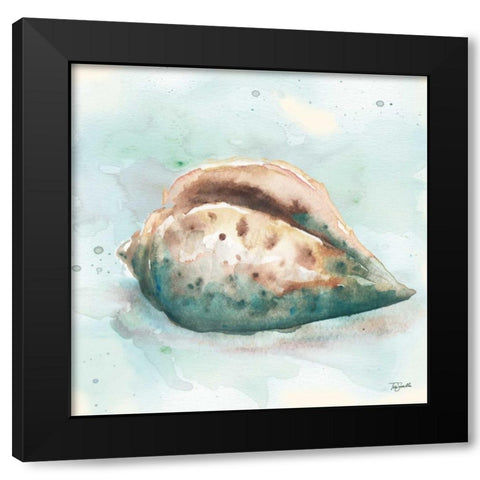 Watercolor Shells I Black Modern Wood Framed Art Print with Double Matting by Tre Sorelle Studios