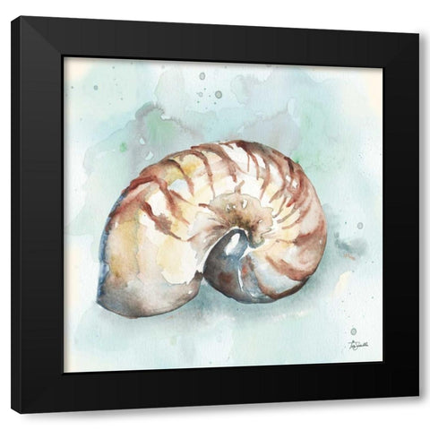 Watercolor Shells II Black Modern Wood Framed Art Print by Tre Sorelle Studios