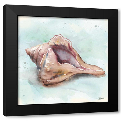 Watercolor Shells III Black Modern Wood Framed Art Print by Tre Sorelle Studios