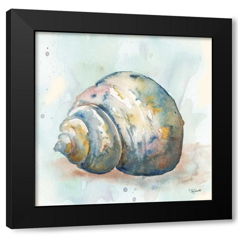 Watercolor Shells IV Black Modern Wood Framed Art Print with Double Matting by Tre Sorelle Studios