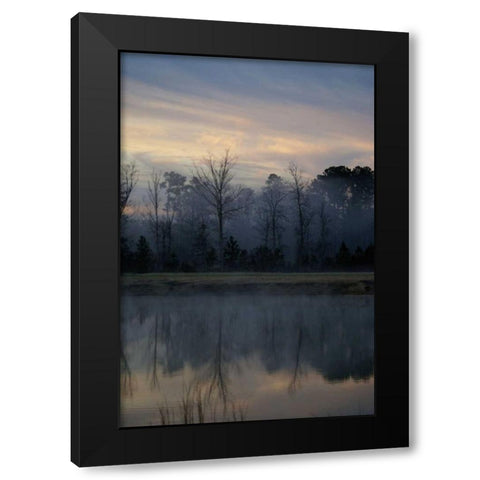 Misty Morning Black Modern Wood Framed Art Print by Romita, Denise
