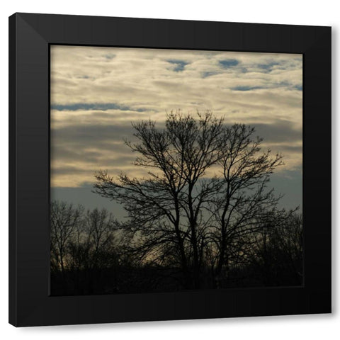 Morning Silhouette Black Modern Wood Framed Art Print by Romita, Denise