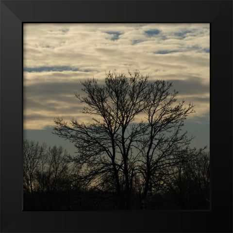 Morning Silhouette Black Modern Wood Framed Art Print by Romita, Denise