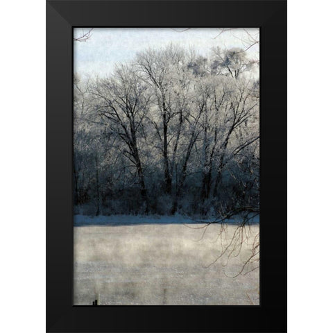 Ice Mist Black Modern Wood Framed Art Print by Romita, Denise