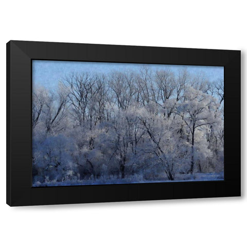 Ice Land Black Modern Wood Framed Art Print with Double Matting by Romita, Denise