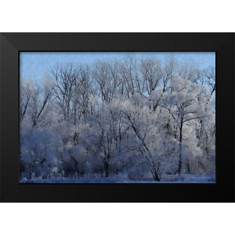 Ice Land Black Modern Wood Framed Art Print by Romita, Denise
