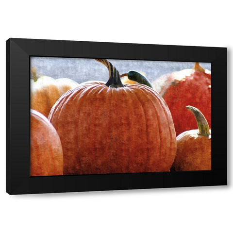 Fall Pumpkin Black Modern Wood Framed Art Print with Double Matting by Romita, Denise