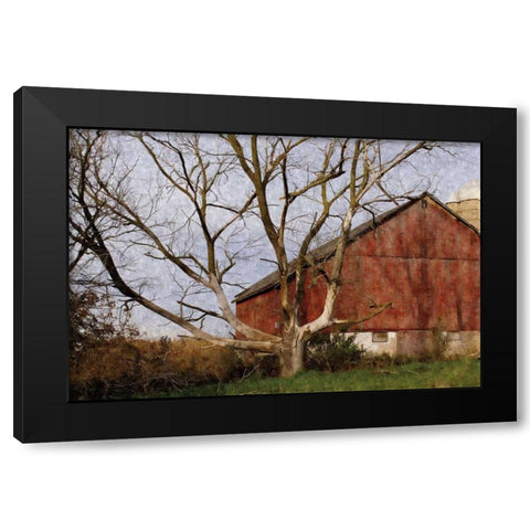 The Old Barn Black Modern Wood Framed Art Print with Double Matting by Romita, Denise