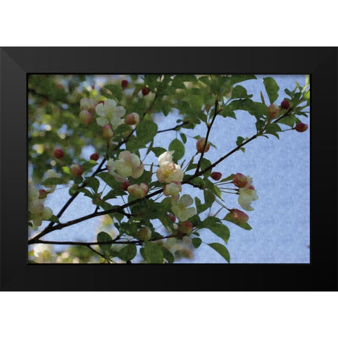 Blossom Branch Black Modern Wood Framed Art Print by Romita, Denise