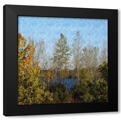 Trees of Fall Black Modern Wood Framed Art Print by Romita, Denise